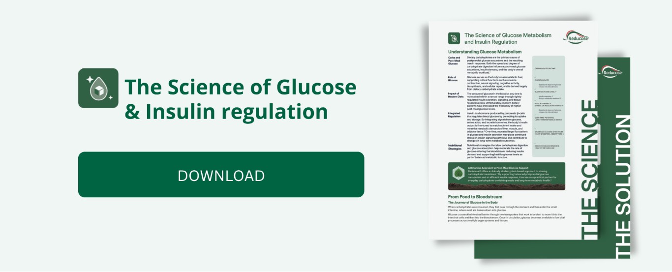 Glucose & Insulin - Deep-dive